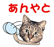 536340384