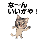 536340386