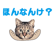 536340387