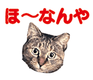 536340388