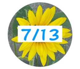 536353270