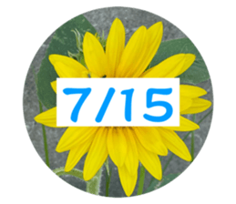 536353272
