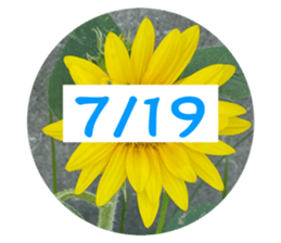 536353276