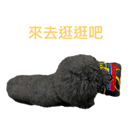536360133