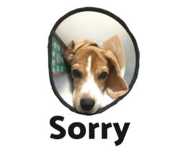 536364974