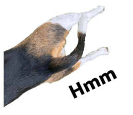 536364982