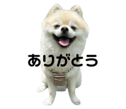 536379435