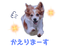 536399416