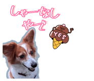 536399417