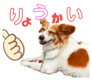 536399438