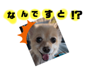 536408999