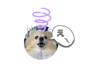 536409002