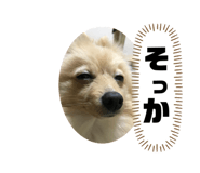 536409005