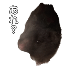 536410649