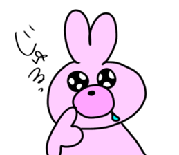 53642743