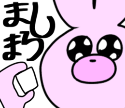 53642753