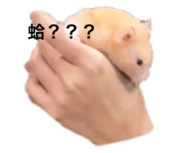 536439824