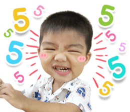 536449306