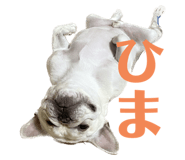 536455455