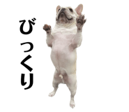 536455460