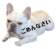 536455464