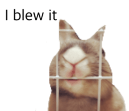 536463472