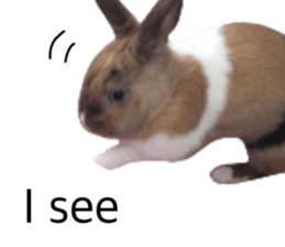 536463503