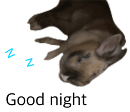 536463509
