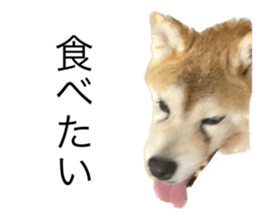 536560861