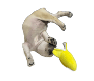 536575368