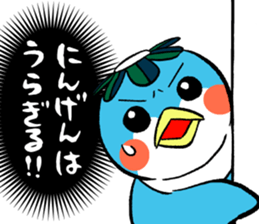 53657901