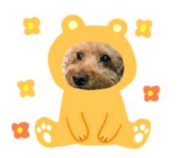 536582676