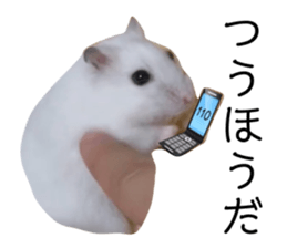 536583902