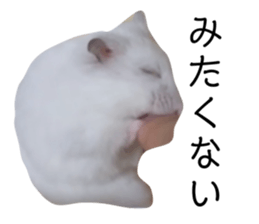 536583904