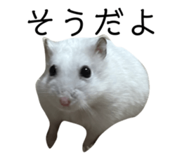 536583908
