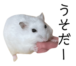 536583909