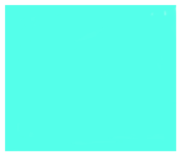 536608920