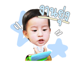 53663042