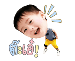53663056
