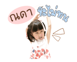 53663061