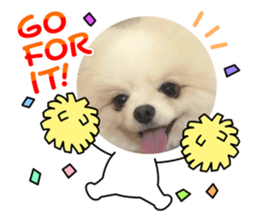 536736645