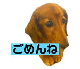536788900