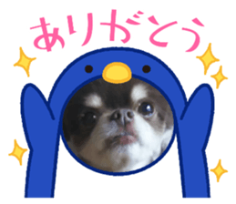 536795726