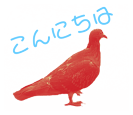 536795767
