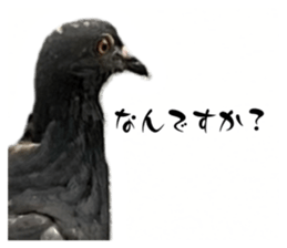 536795770