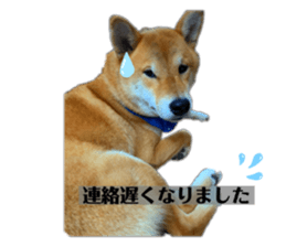 536838522