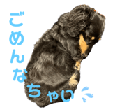 536839902
