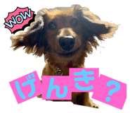 536839904