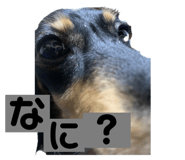 536839905