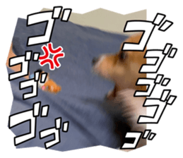 536841438